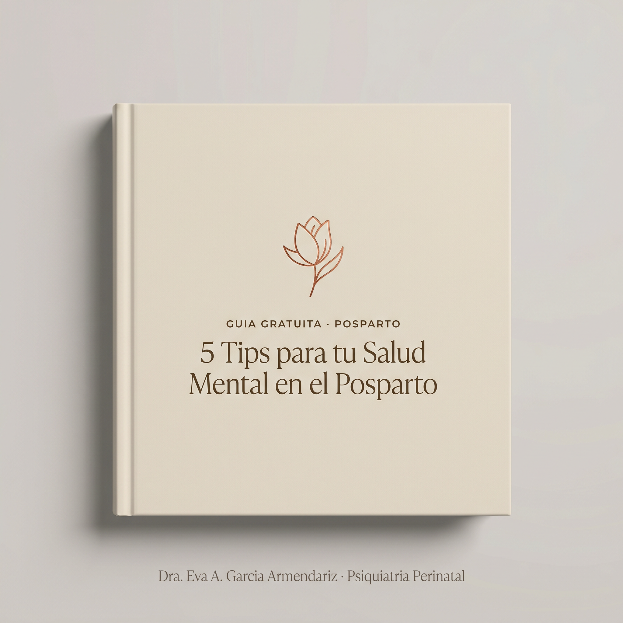 Guía gratuita Posparto - 5 Tips